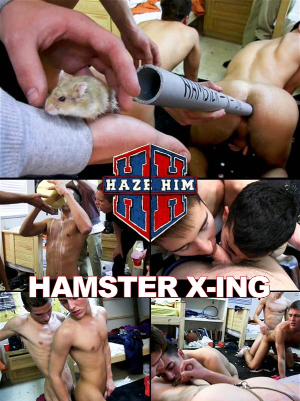 Hamster Porn Videos
