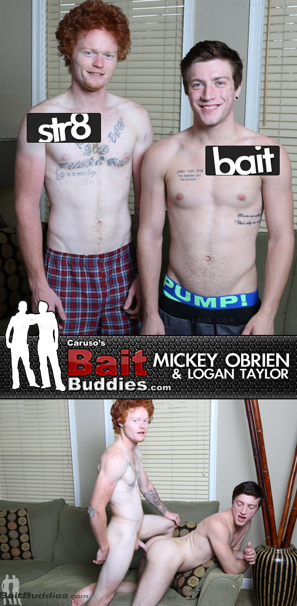 Logan Taylor (Bait) & Mickey O'Brien (Str8) on BaitBuddies.com