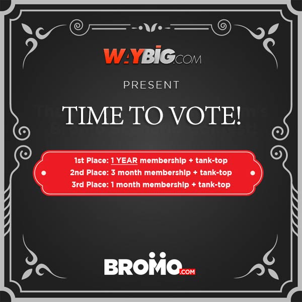 The BROMO Scenario Writing Contest - TIME to VOTE