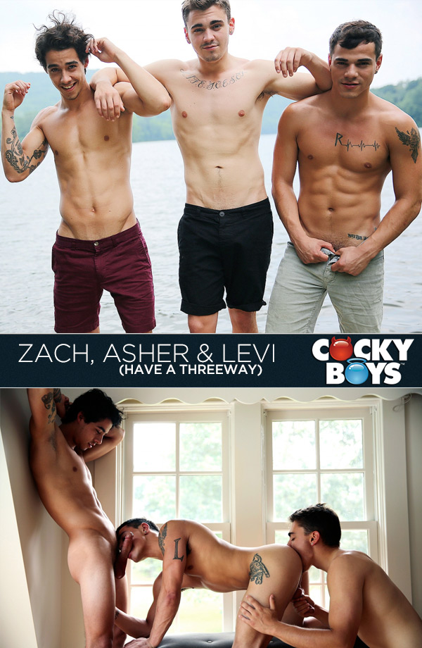 Asher Hawk, Levi Karter & Zach (Have a Threeway) at CockyBoys.com