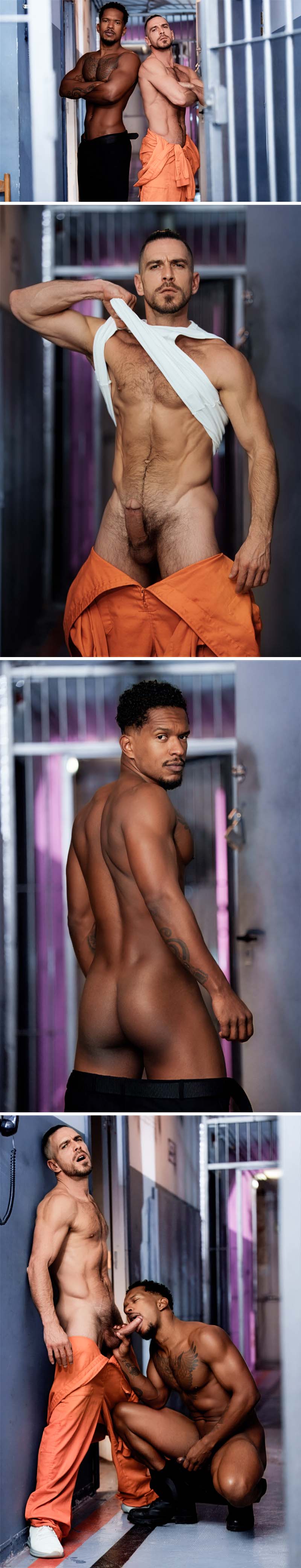 The Air Outside (Paddy O'Brian Fucks Caio Rodrigues) at MEN.com