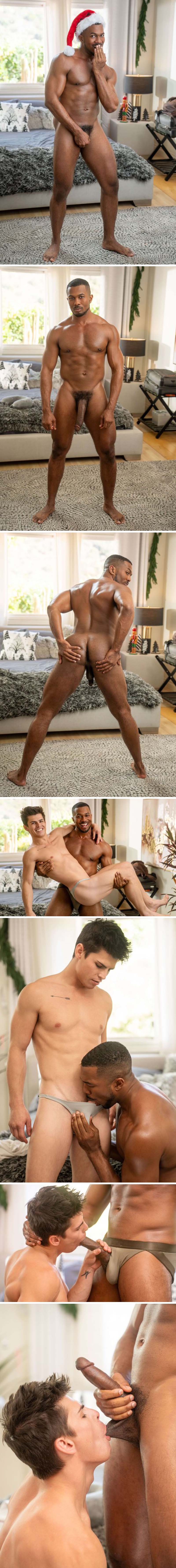 Bred & Breakfast: Push It Inn, Scene 1 (Sean Xavier Fucks Seth Peterson) at FalconStudios