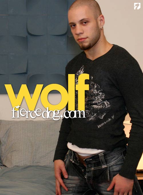 Wolf at FierceDog.com