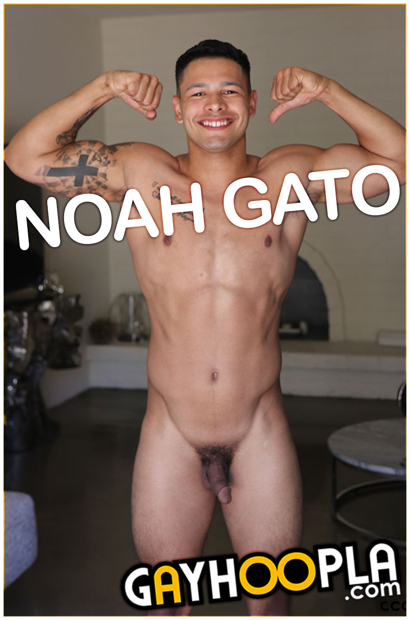 Noah Gato at GayHoopla