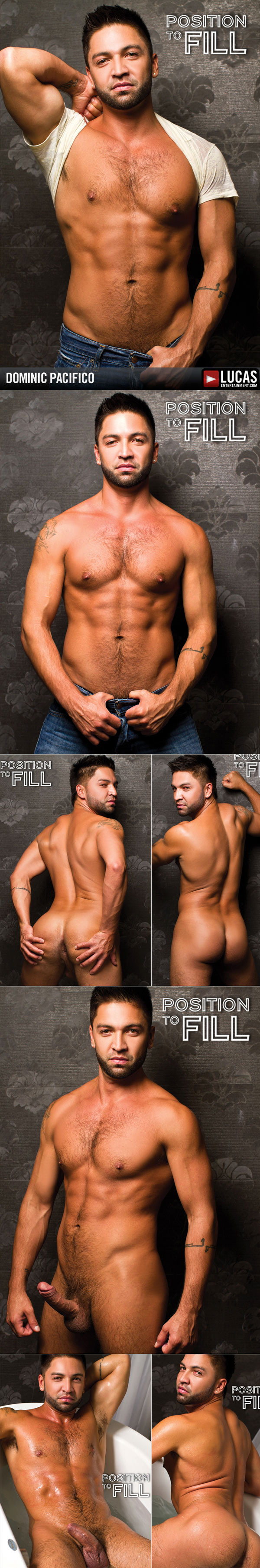 Position To Fill (Johnny Venture & Dominic Pacifico) at LucasEntertainment.com